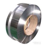 Industrial Grade Long Lasting Stainless Steel Strips at Best Price